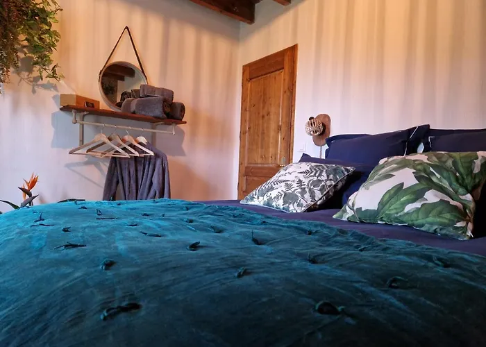 Oda ve Kahvaltı Maison Cassin47 Lavergne (Lot-et-Garonne)